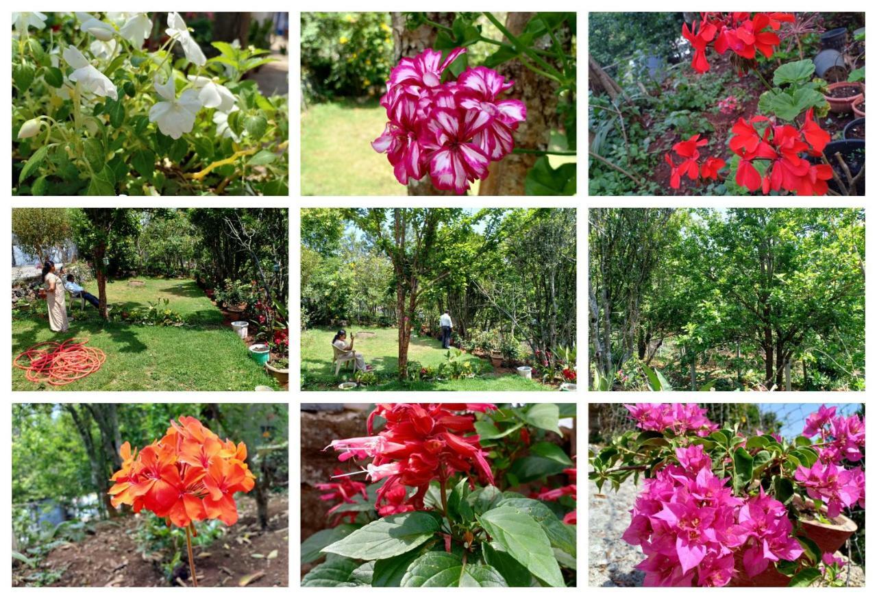 Pear Tree Inn Villa Kotagiri Exteriör bild
