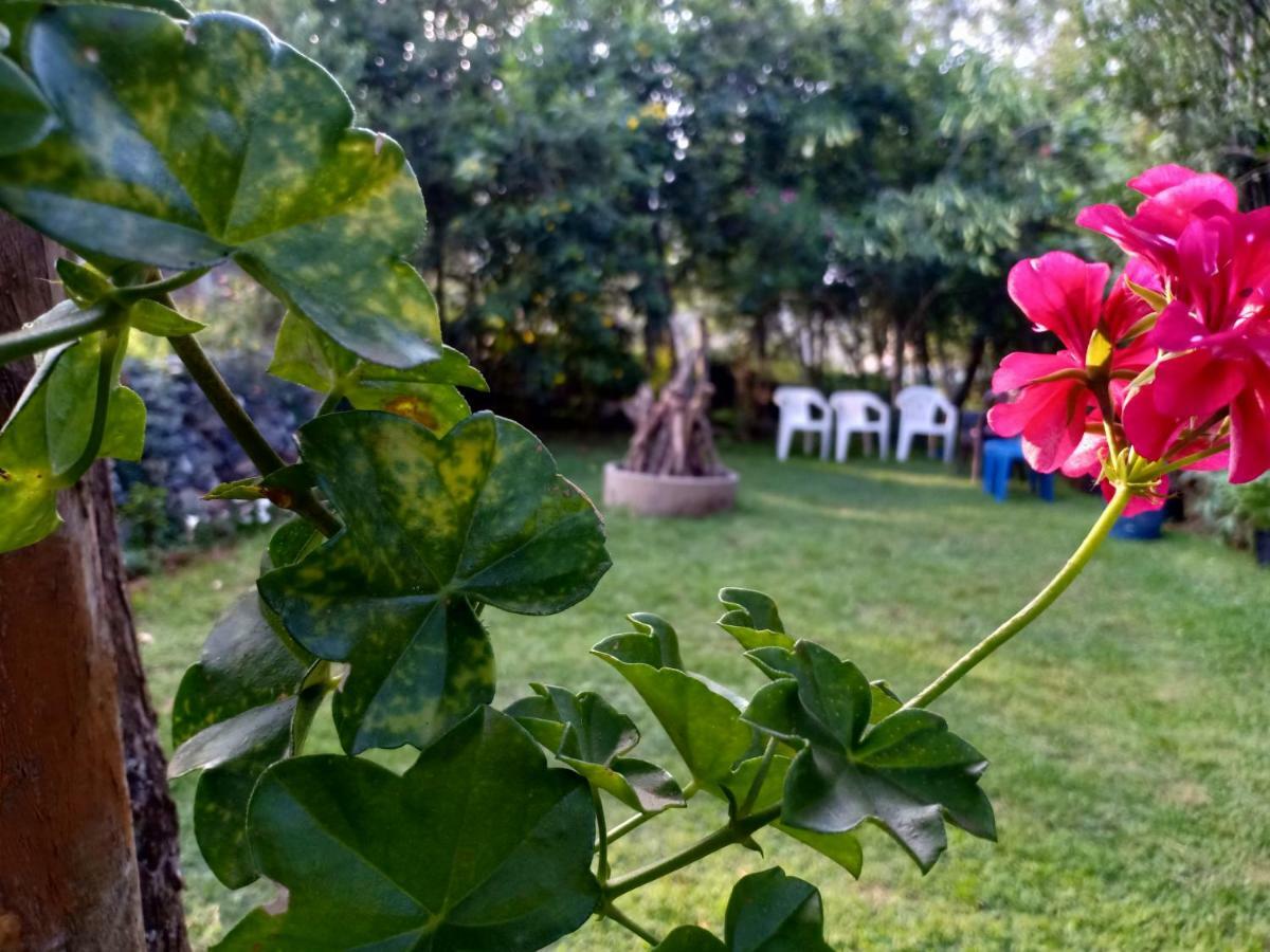 Pear Tree Inn Villa Kotagiri Exteriör bild
