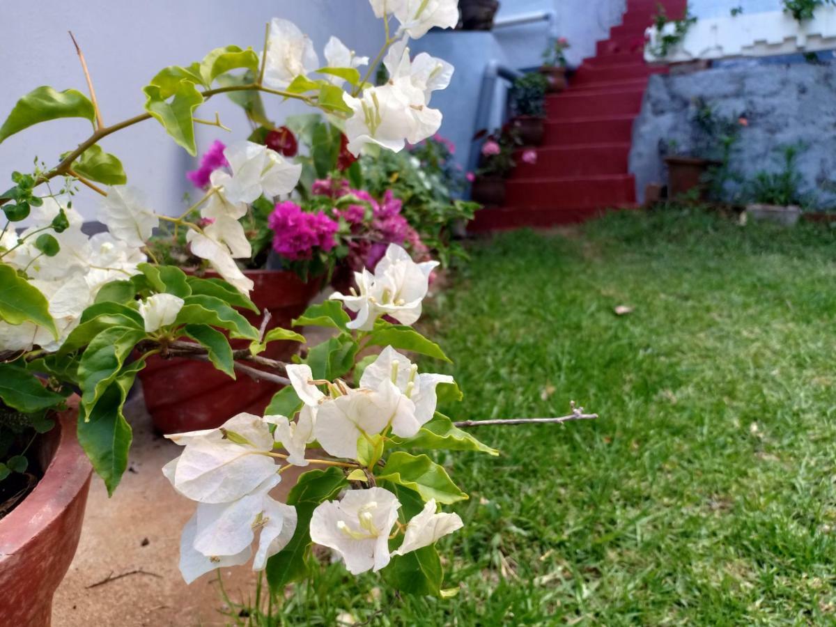 Pear Tree Inn Villa Kotagiri Exteriör bild